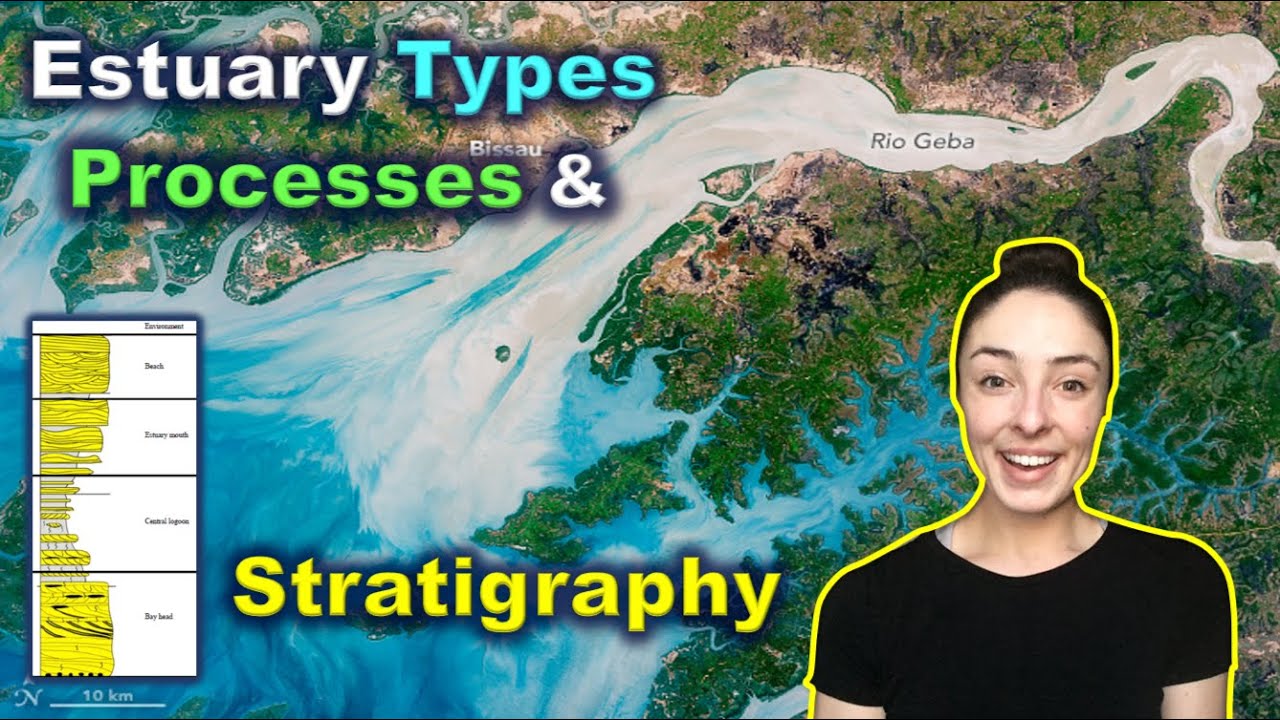 Условия осадконакопления и стратиграфия эстуария | GEO GIRL