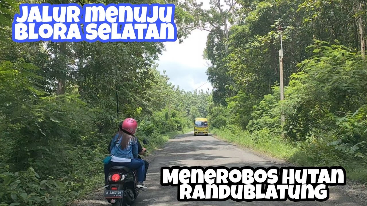 Suasana Hutan Jati Randublatung Blora Ini Situasi Jalur Selatan