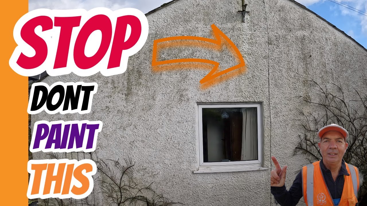 Why You Should NEVER Paint Render On Walls - (2024)
