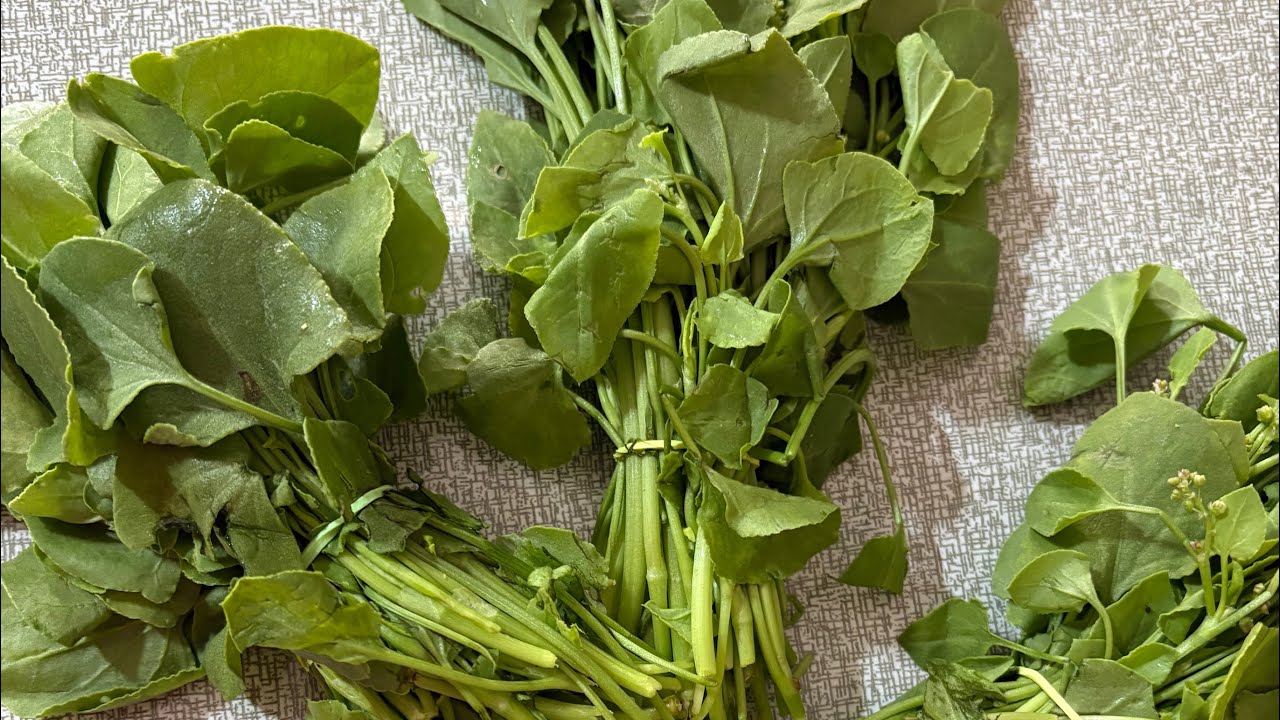 చుక్కకూర గిన్నె పచ్చడి & గంగవాఇ చనగాపుటమాట#food 