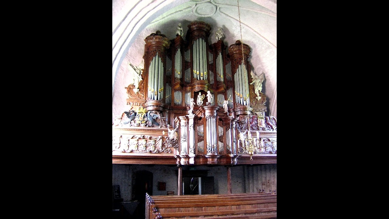 Piet Wiersma plays Buxtehude, Böhm & J.L. Krebs – Petruskerk, Leens (c.1984 Radio Recording)