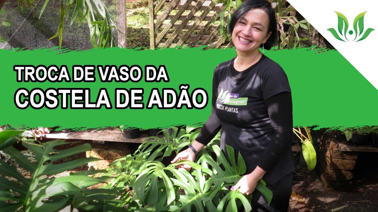 Troca de Vaso da Costela de Adão