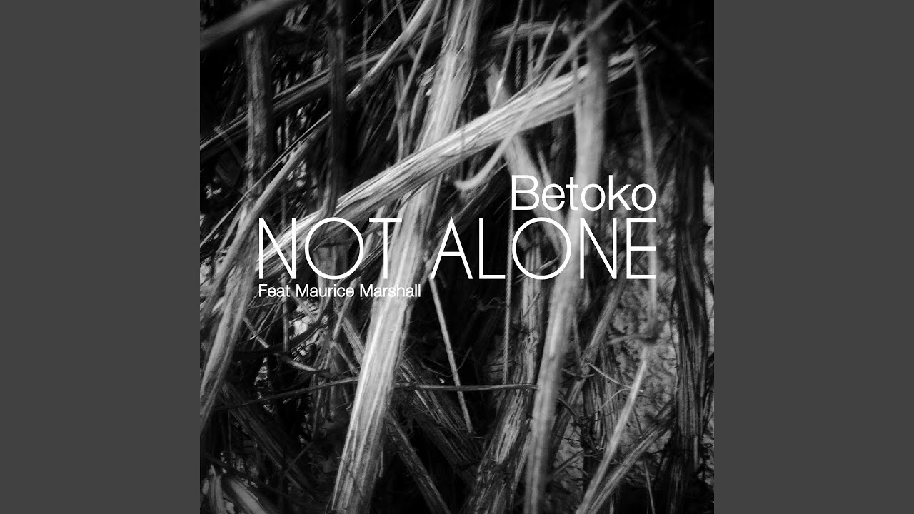 Not Alone (Climbers Grey Sky Remix)