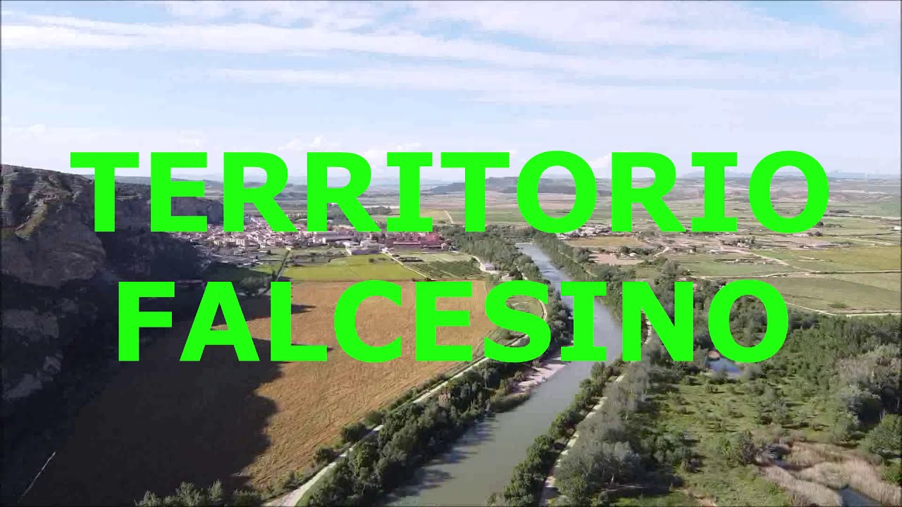 Falces 1.9 Territorio falcesino