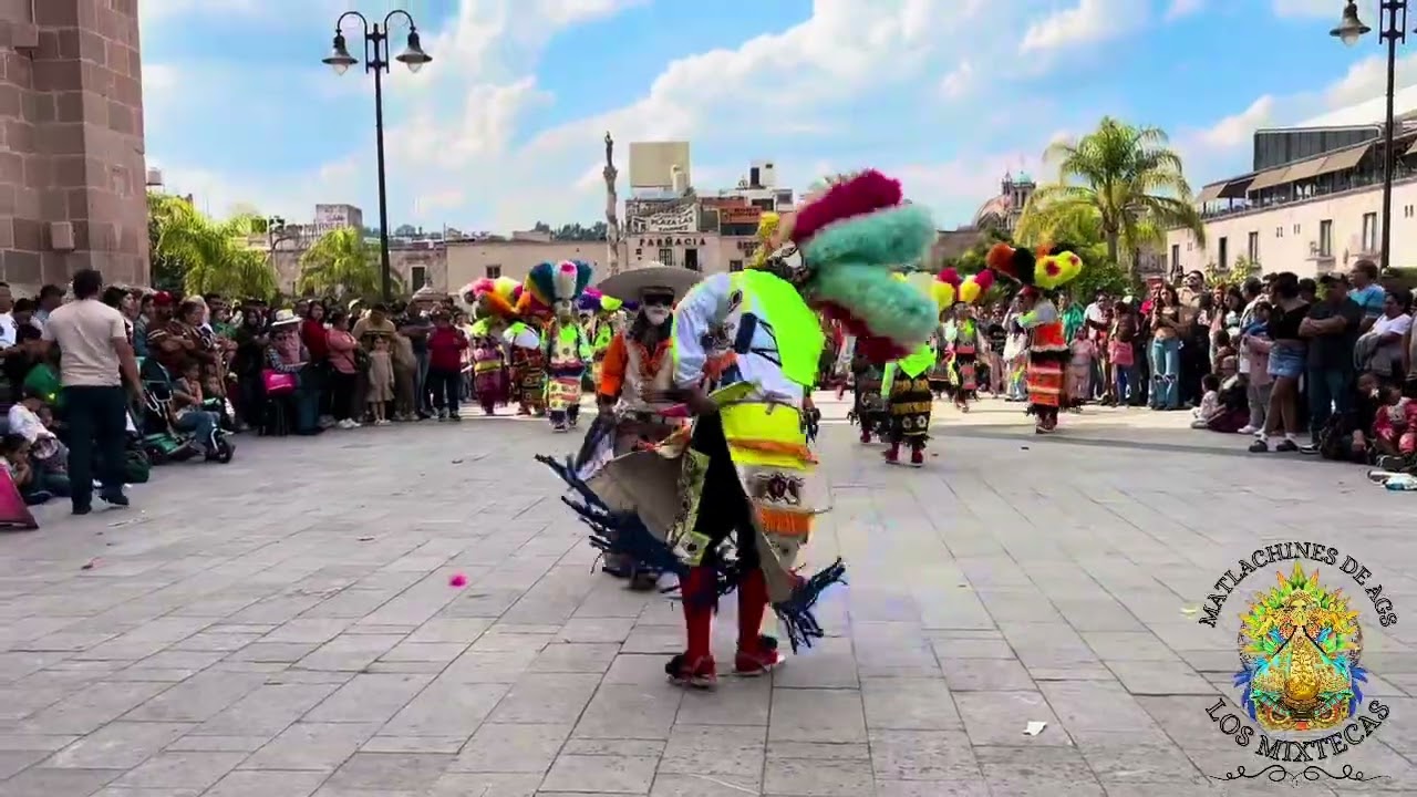 •San Juan de Los Lagos,Jalisco | Matlachines Los Mixtecas de Aguascalientes | 2026 PARTE 1 