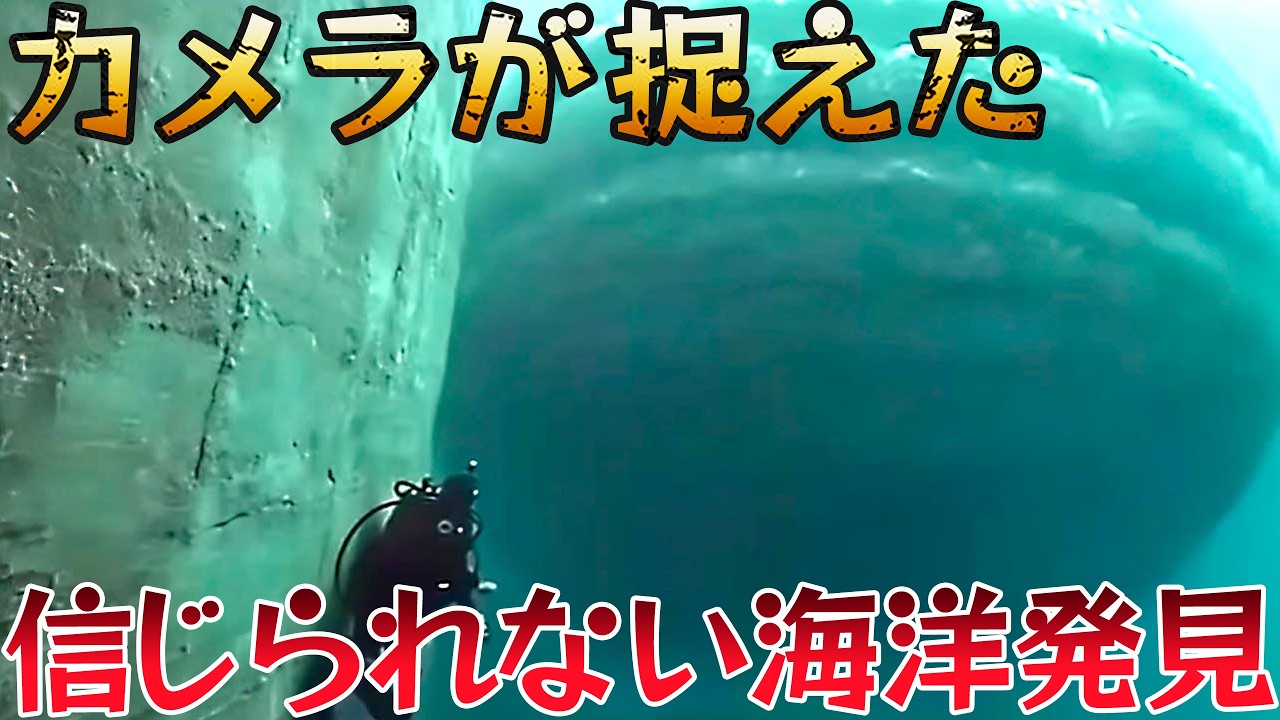 【衝撃】海底で動く巨大物体！ダイバー恐怖の瞬間、世界が震えた15の海洋発見