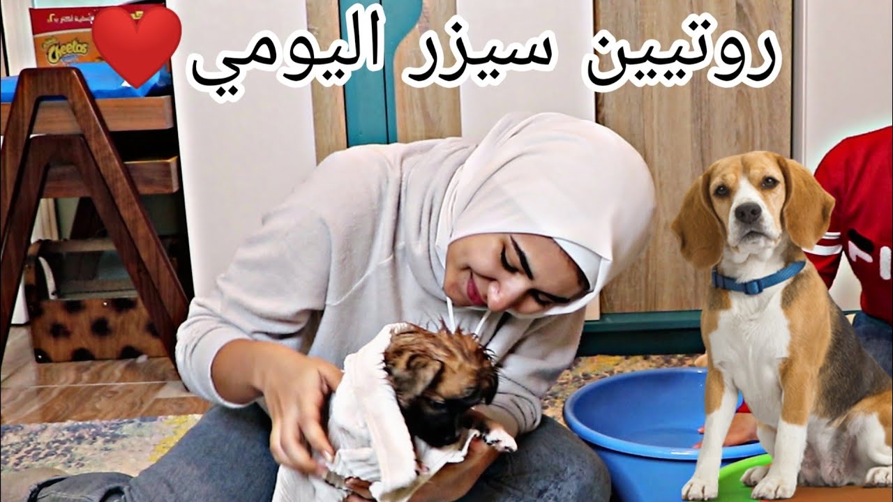 روتين بيبي 