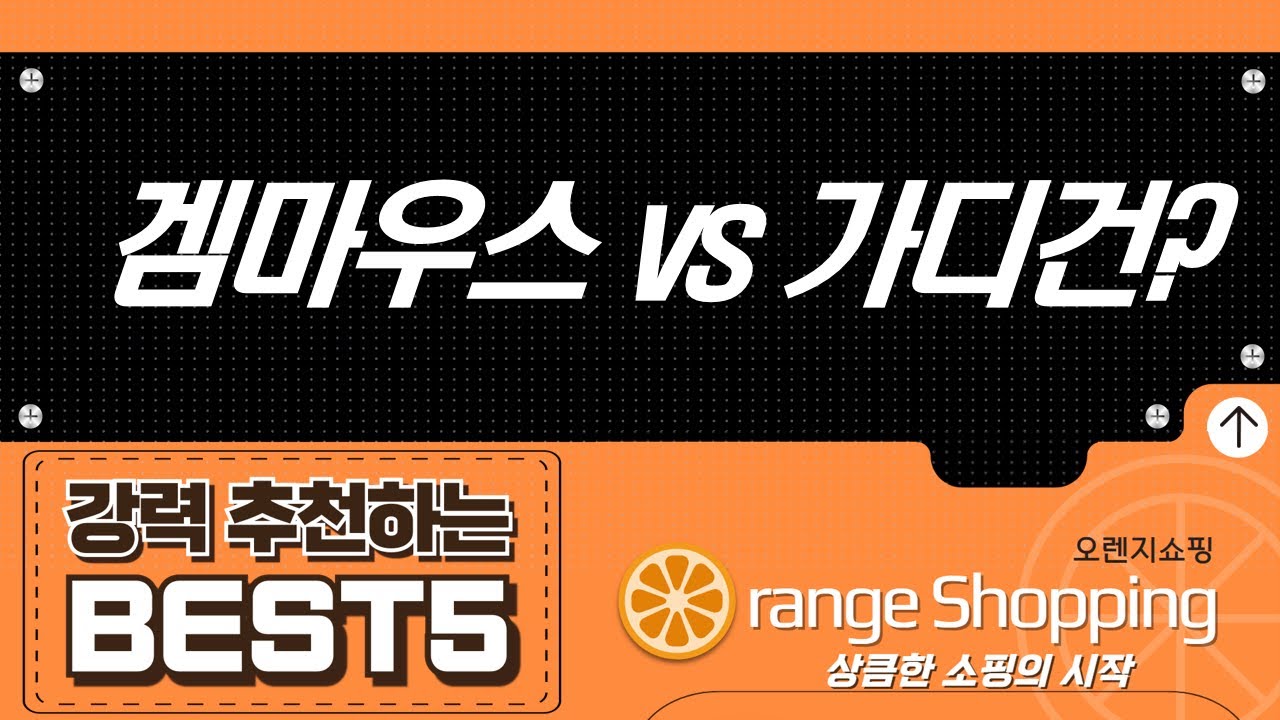 가성비 끝판왕 게이밍 마우스 대전! + 비비안웨스트우드 가디건