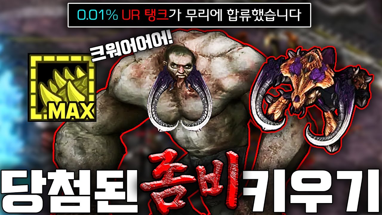 감염자 2만 킬??? 