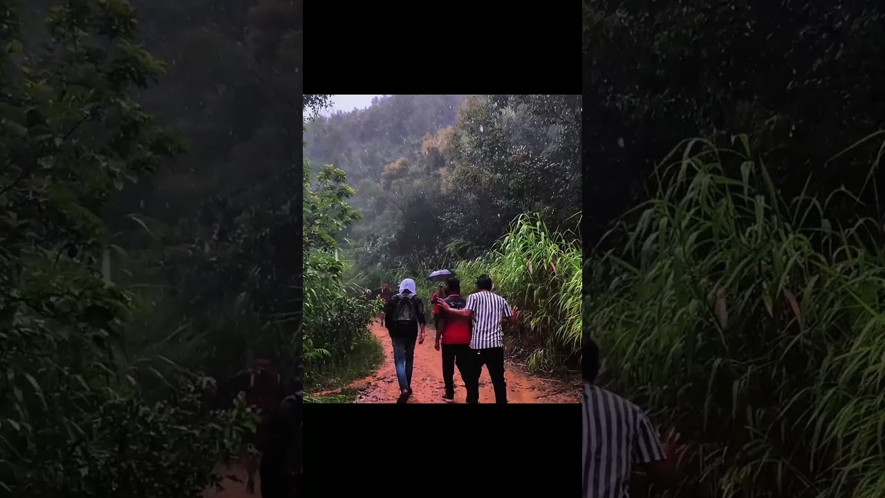 life after jee. IIIT. cheirao ching garden #nature  #travel  #monsoon #jeeexamprep #mountains