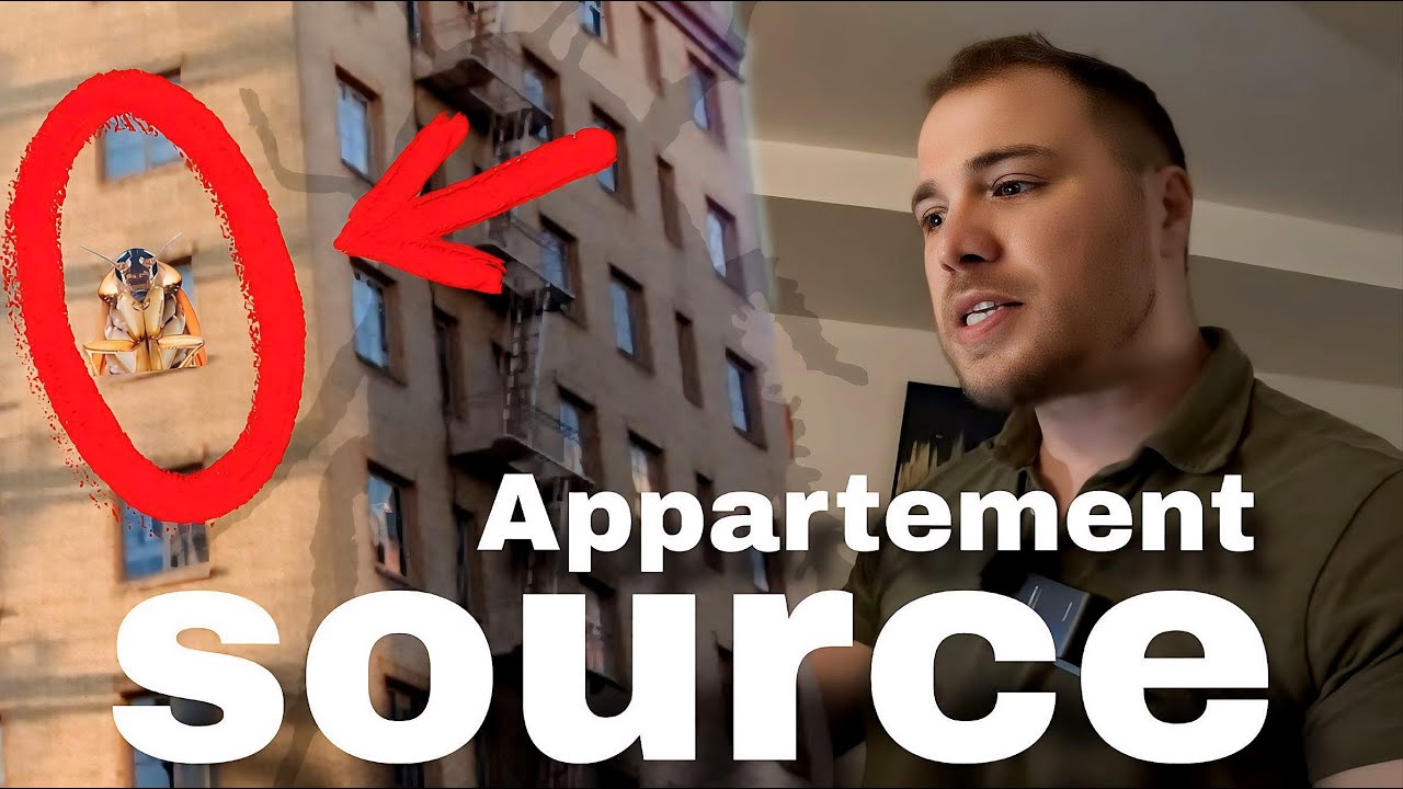 CAFARDS : Pourquoi vous en avez chez vous ? (enfin on vous explique)