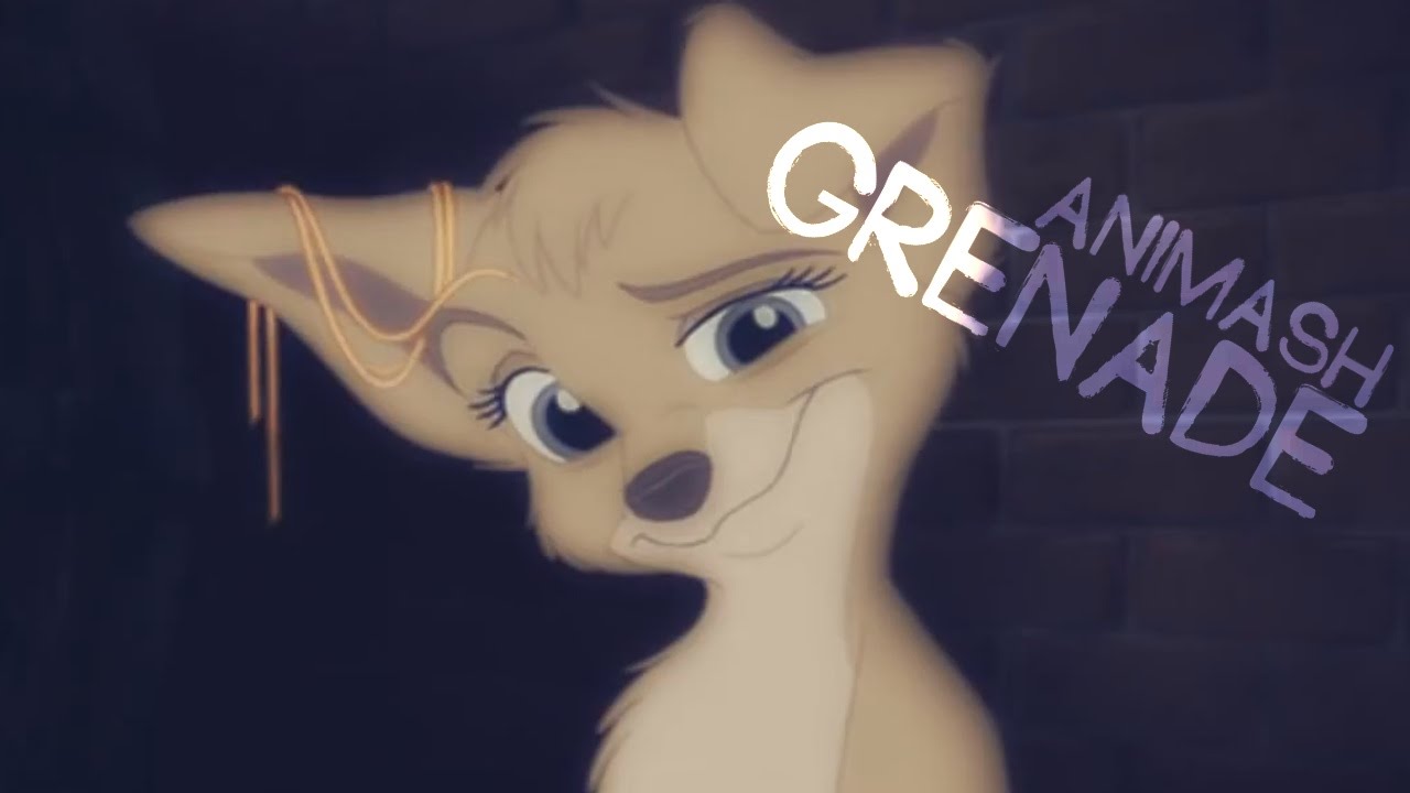 Animash - Grenade