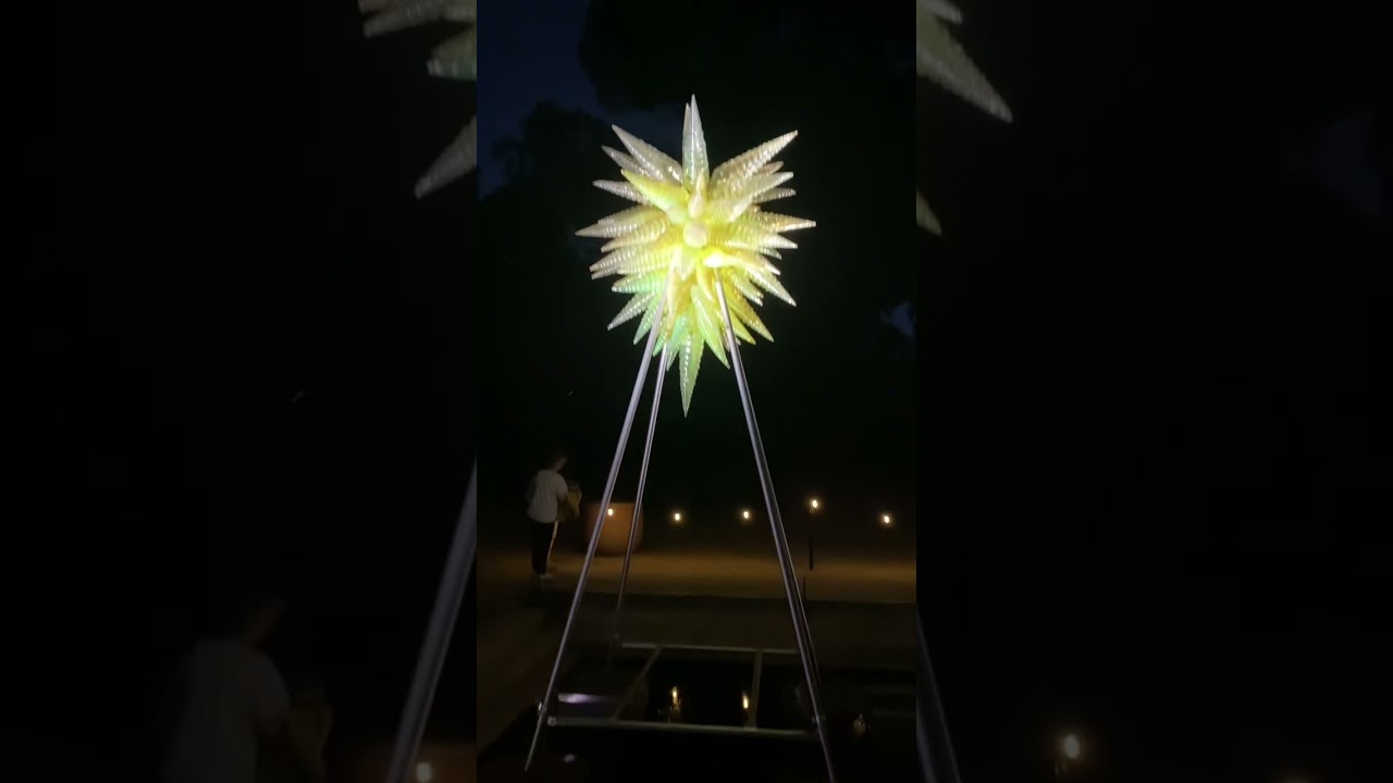 chihuly nights!! 