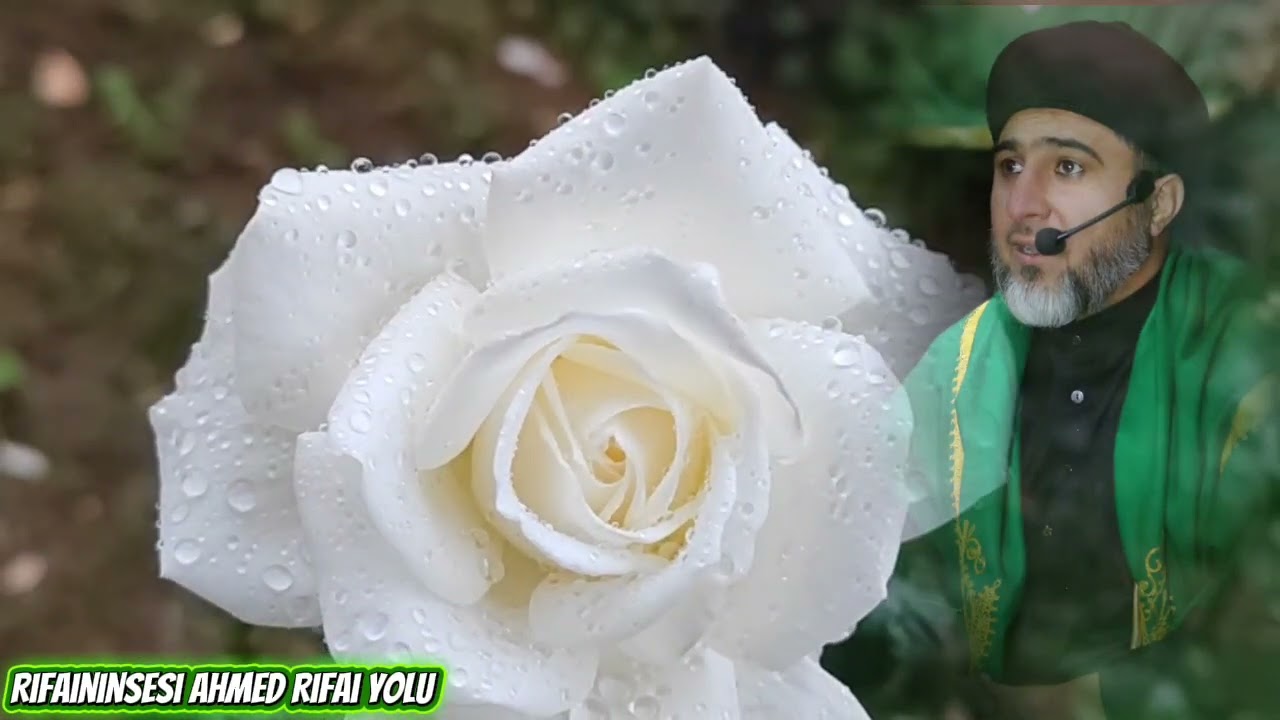 SEYRİMDE Bir şehre vardım  mükemmel bir yorum #ilahiler #keşfetedüş 