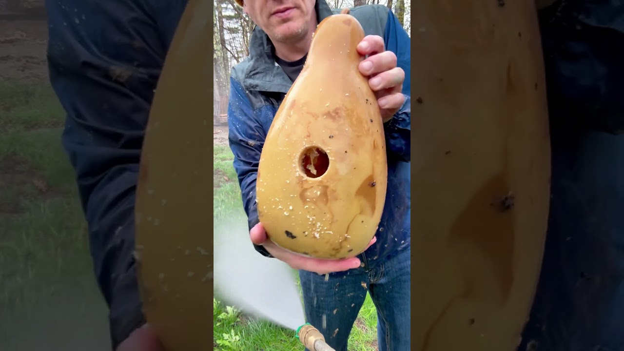 This is a great way to clean gourds. And a sweet way to make birdhouses too. #growyourcanvas #gourds