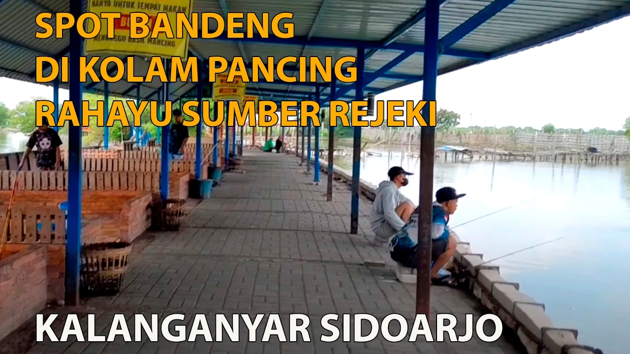 SURVEY 🐟DI KOLAM PANCING TERBAGUS DI KALANGANYAR - RAHAYU SUMBER REJEKI SIDOARJO