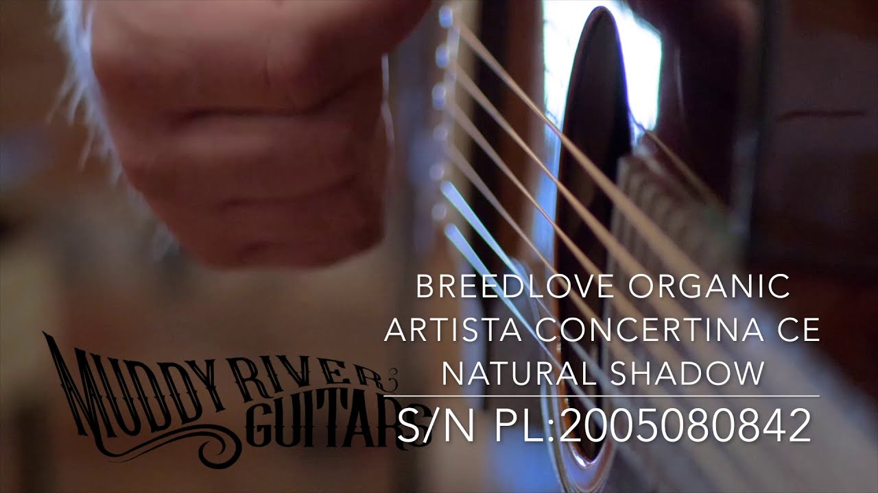 Breedlove Organic Artista Concertina CE