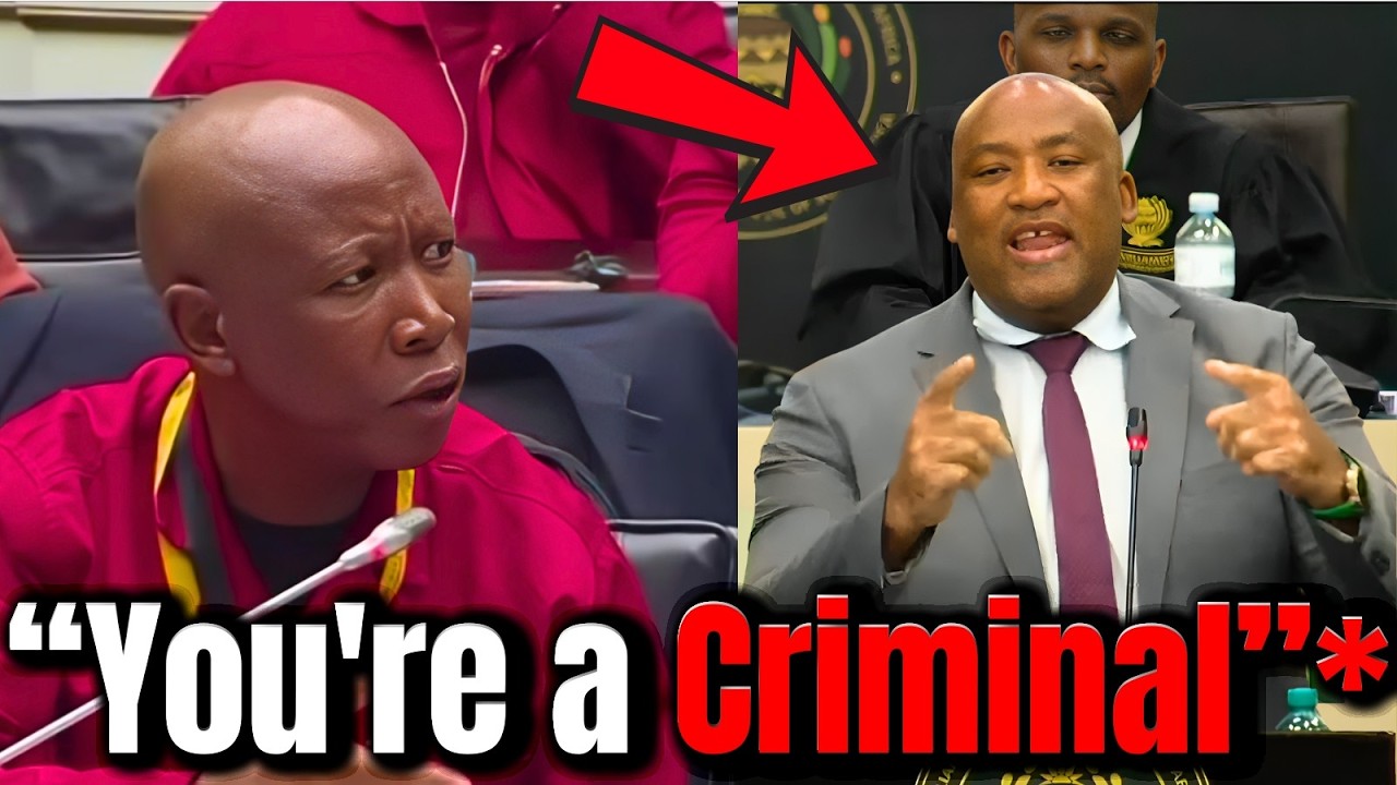 Julius Malema vs Gayton McKenzie during SONA debate! 