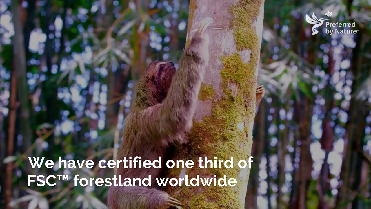 Choose wood from legal and responsible sources