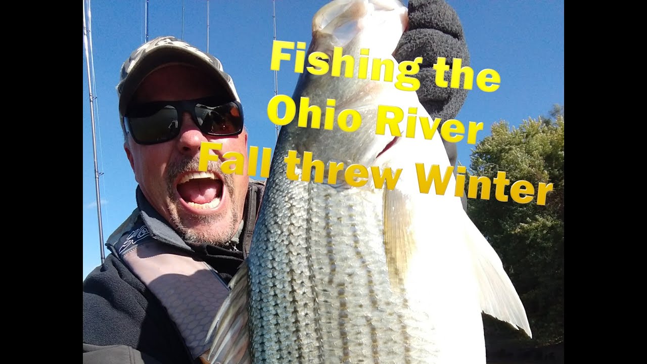 A guide on how to fish the Ohio River Fall threw winter for stripers and hybrids.
