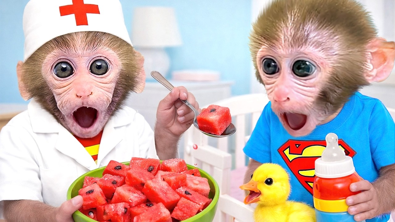 ลูกลิงน้อยบอนบอนกลายเป็นหมอเพื่อดูแลลูกเป็ดแสนน่ารัก