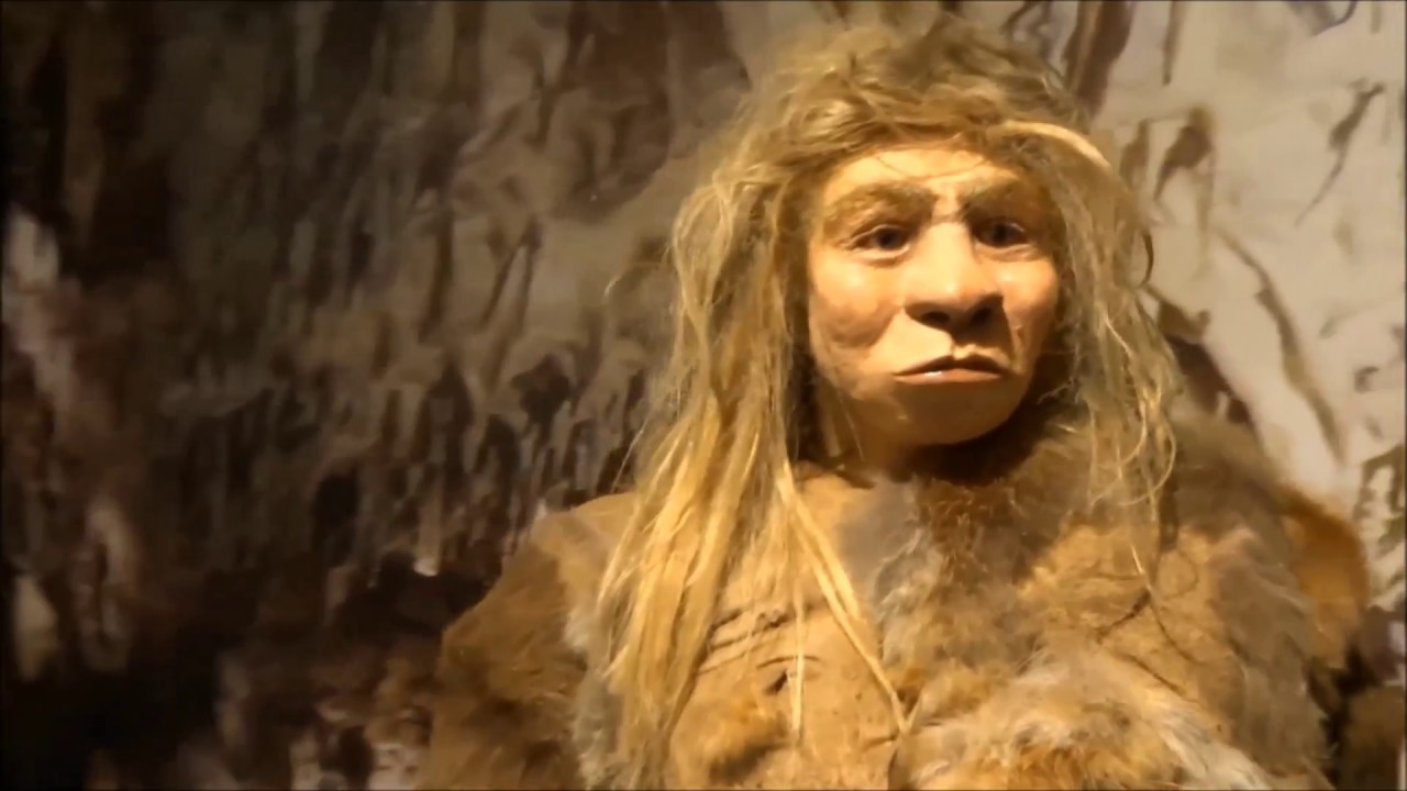 Odkrycia Zet Jaskinia Raj i Centrum Neandertalczyka 2017