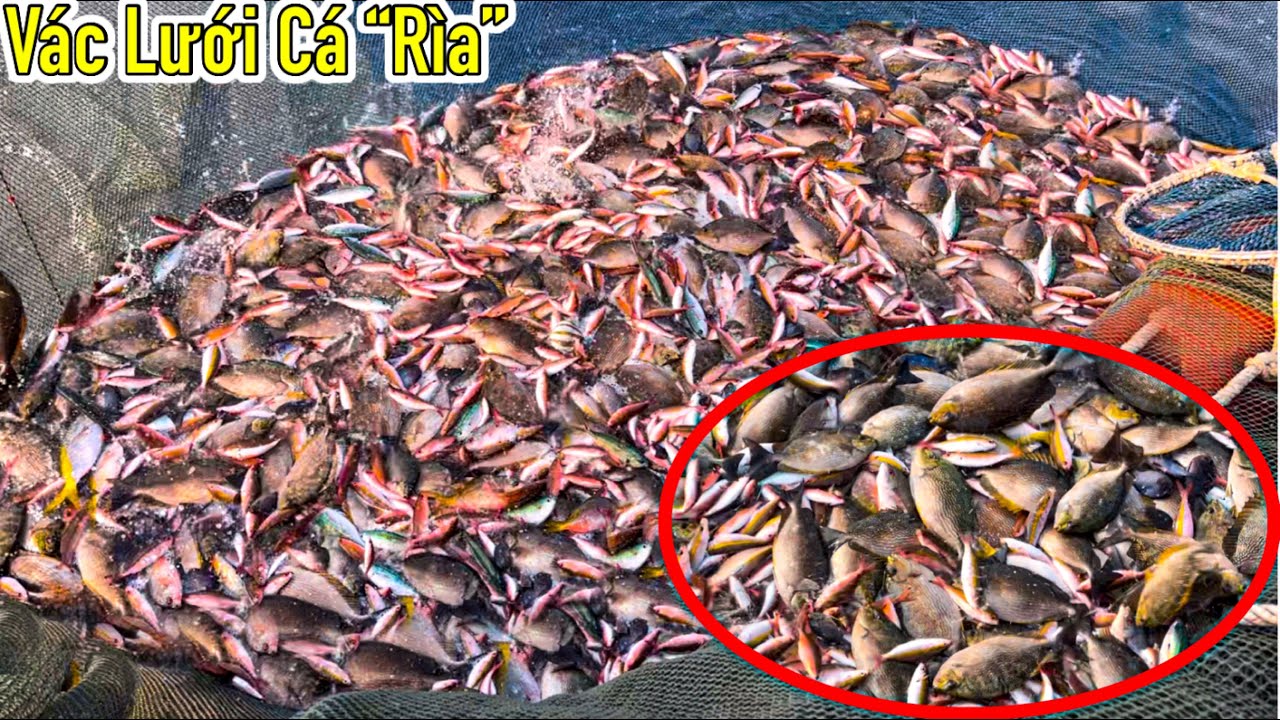 Lưới Bao Rạn 23 | Lật Nước & Mất Hơi | Thợ Lặn Phải Uống Nước Biển Để Ngoi L&ecirc;n | Sơn Ph&uacute; Quốc