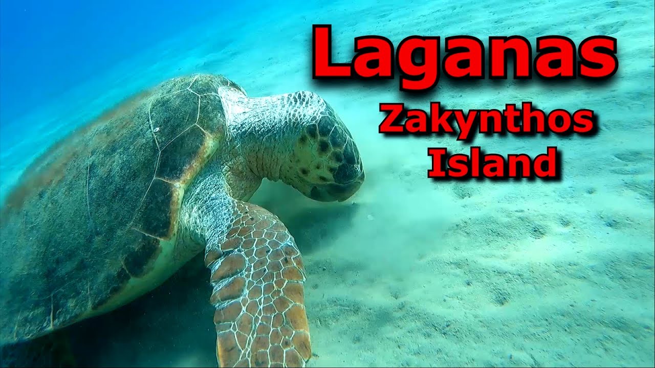 Laganas Zakynthos Island. Лаганас Закинтос. Черепаховый пляж