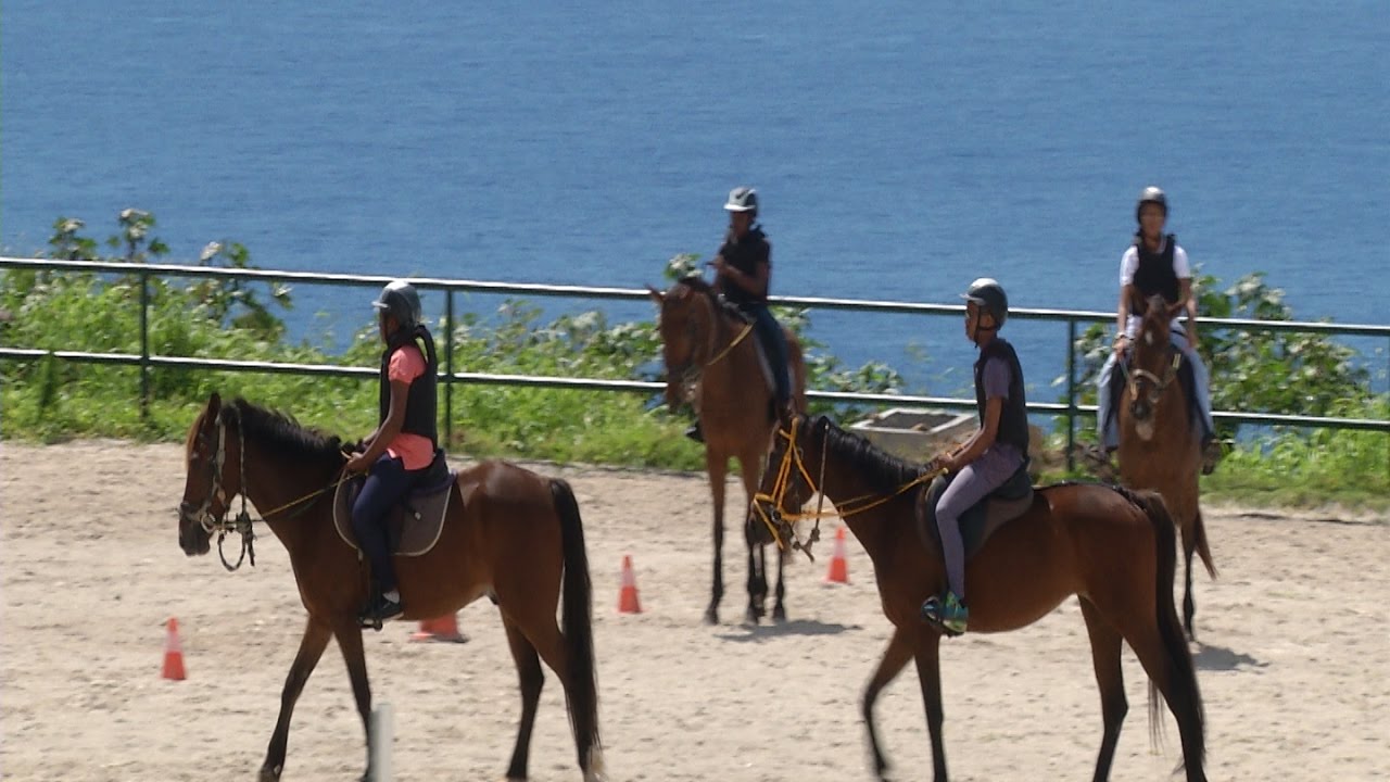 BALLADE AUX ECURIES DE LA COULISSE A TROIS RIVIERES