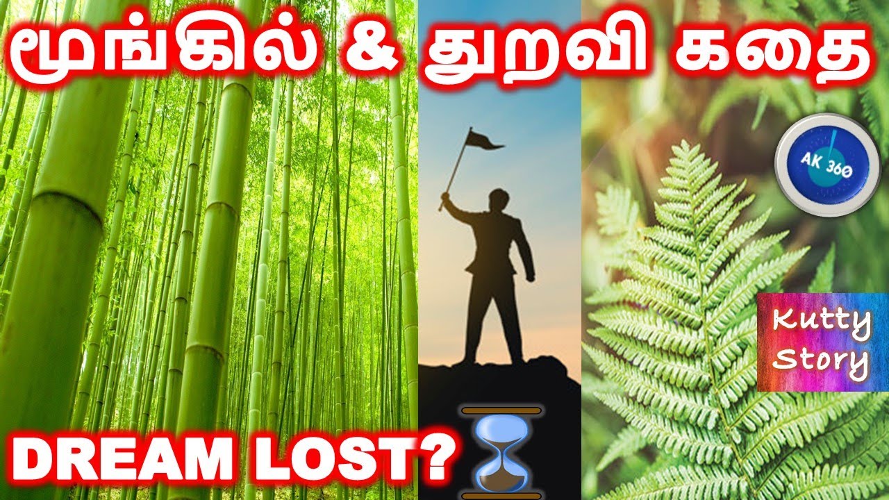 Bamboo Tree & Man Story - Value of Patience | Kutty Story Tamil Motivation | AK360