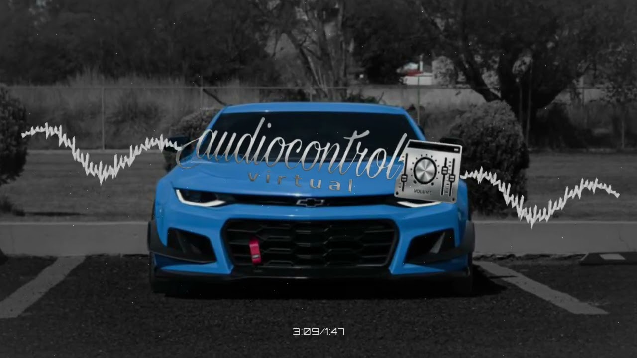 El Gato Y Sus Felinos - Novillos De La Sierra (EPICENTER)