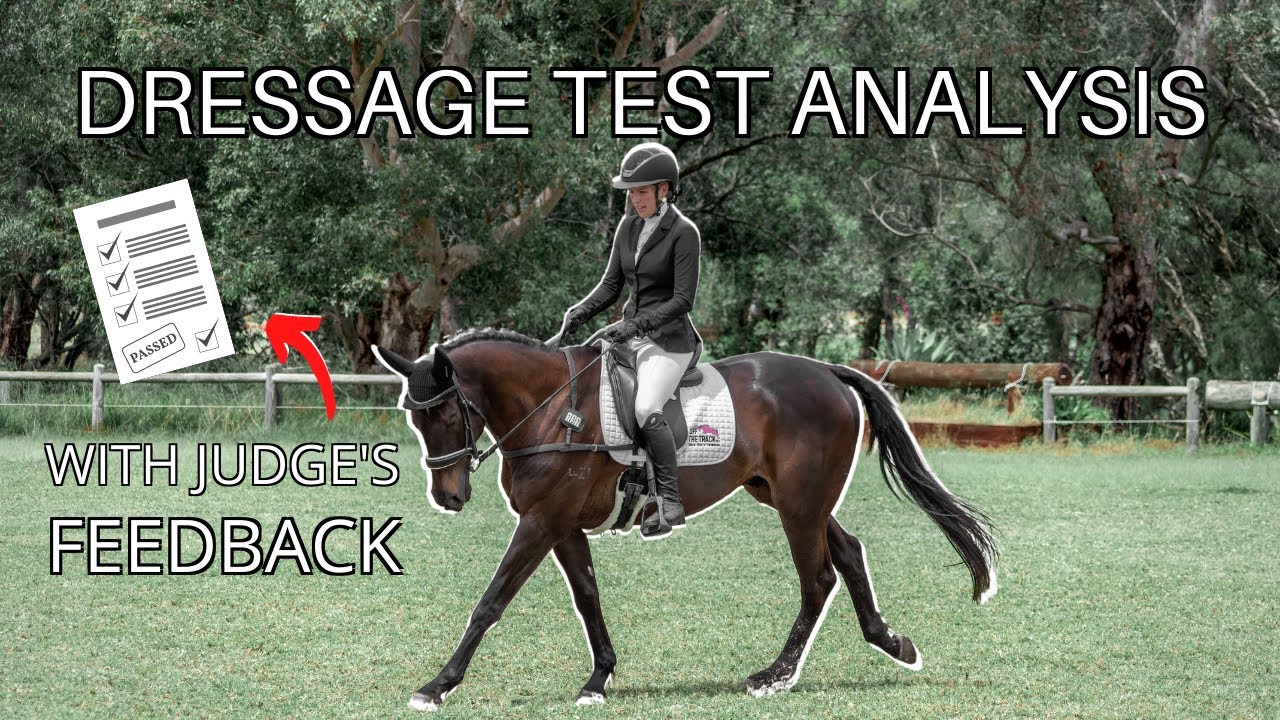 Reviewing my Dressage Test  (with Judge's Comments!) | Elirose Equestrian