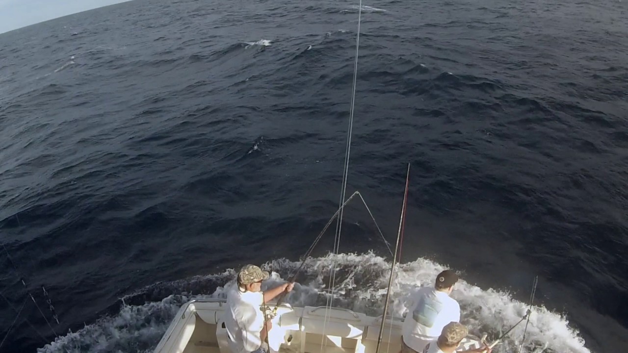 Bermagui Marlin Fishing - A few highlights from a 10 fish day!
