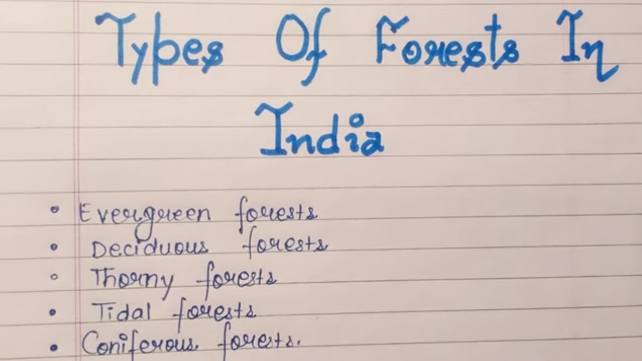 Essay on Different Types Of Forests|Evergreen|Tidal|Thorny|Coniferous|Deciduous|Types of Forest