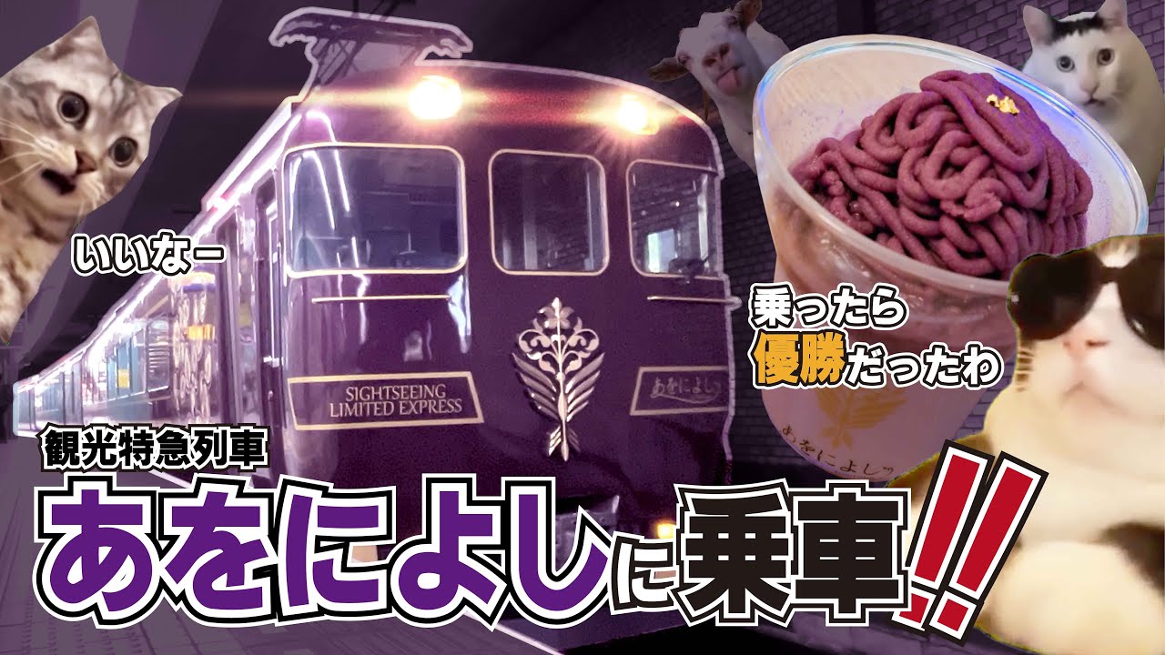 【猫ミーム】観光特急列車「あをによし」に乗ってみた話