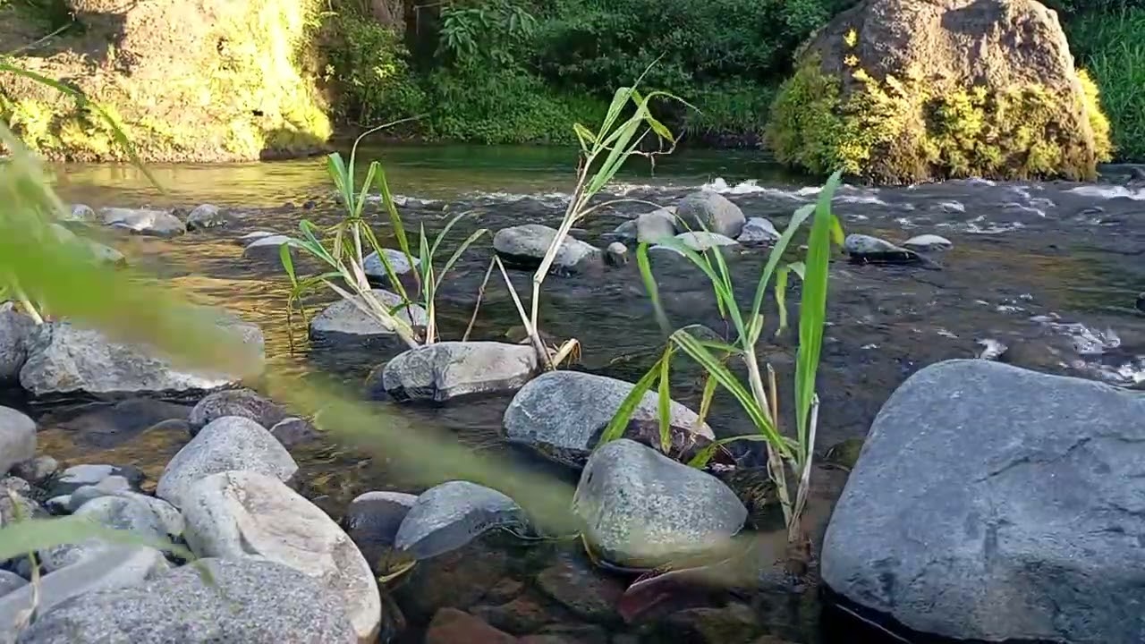 Peaceful Night River Sounds | Calm Water Under the Stars (Sleep Fast)