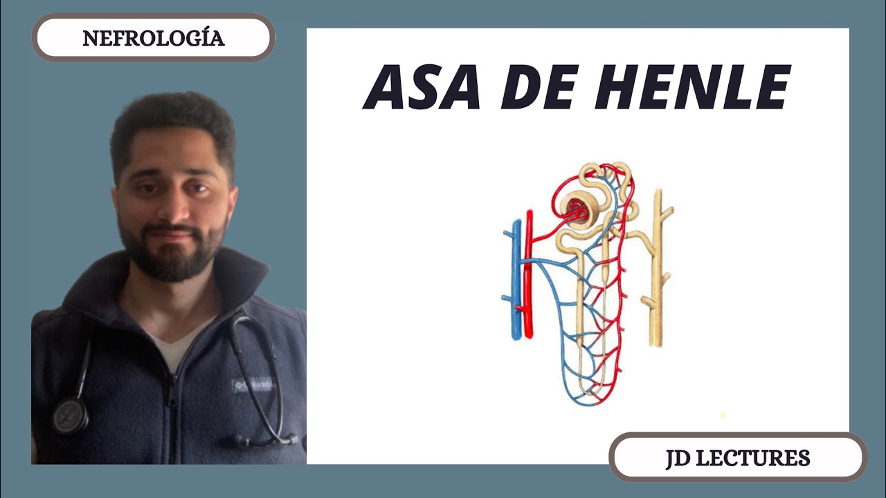 ASA DE HENLE | NEFROLOGÍA