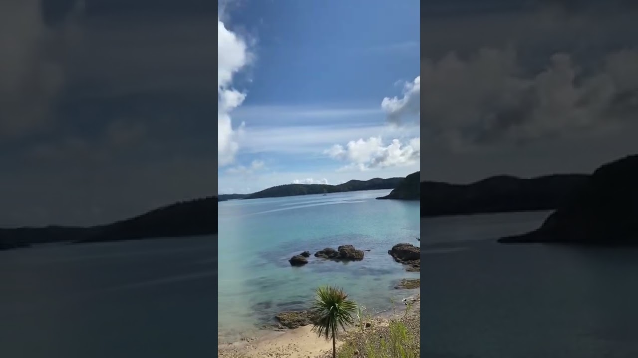 Island Life New Zealand