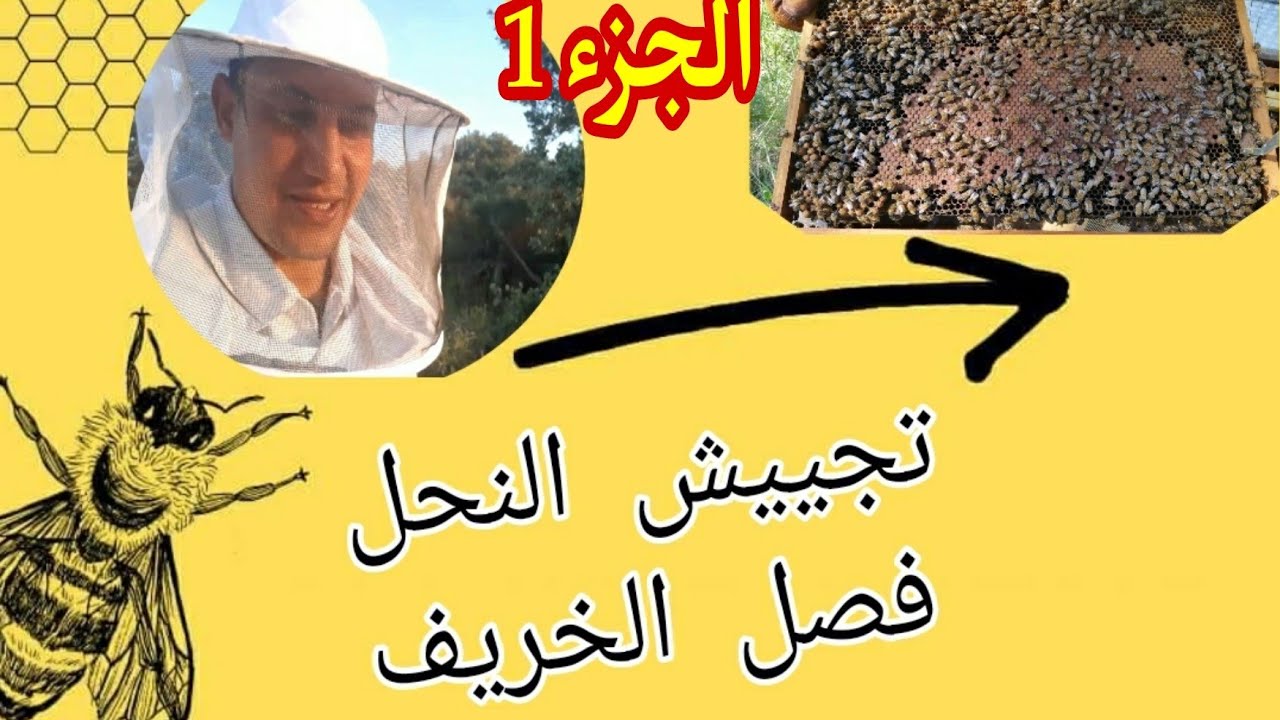 تجييش النحل فصل الخريف جزء 1