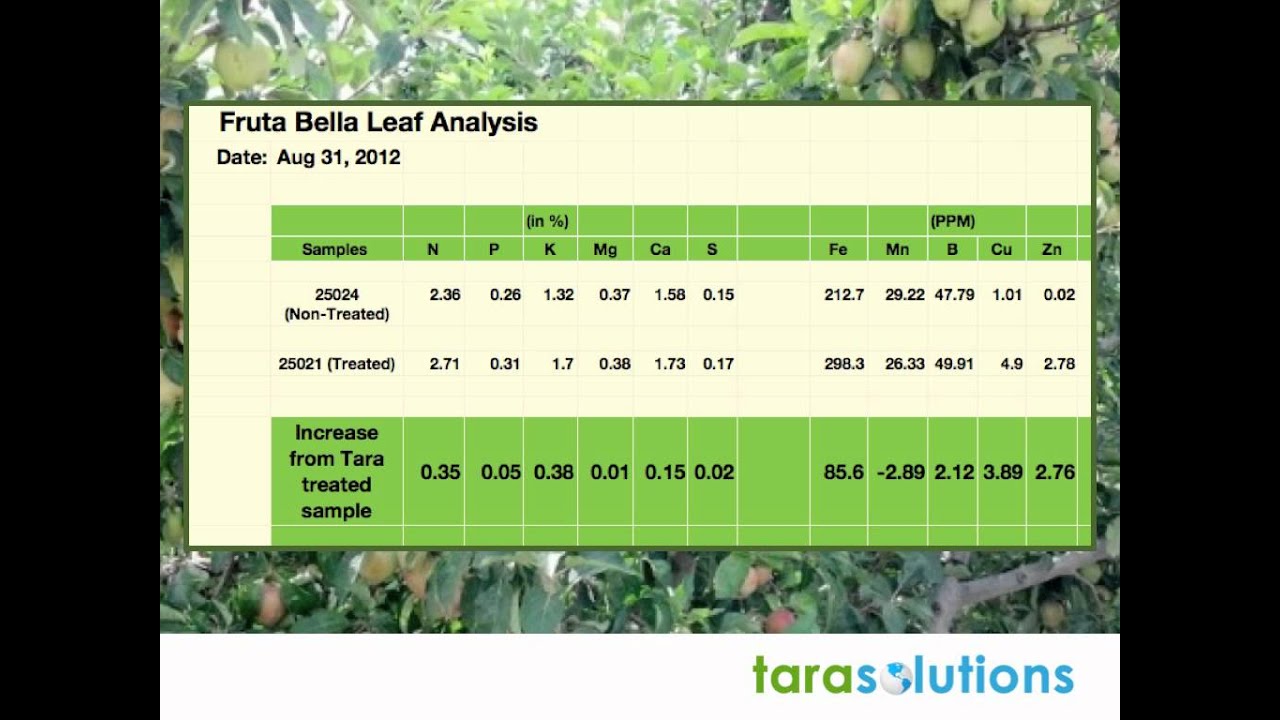 Tara Solutions Raises Brix Levels in Washington Apples