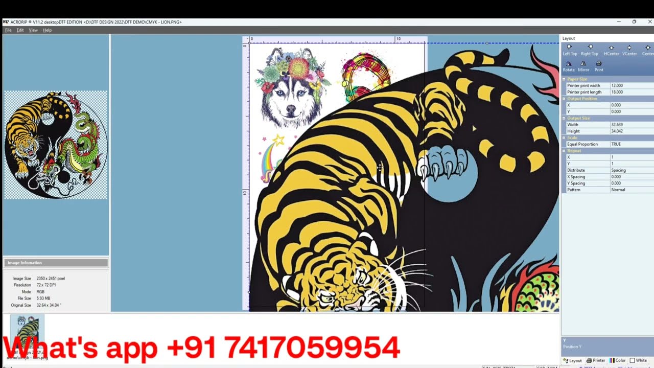Acrorip v11.2 dtf software for all Epson Printers By Color print india