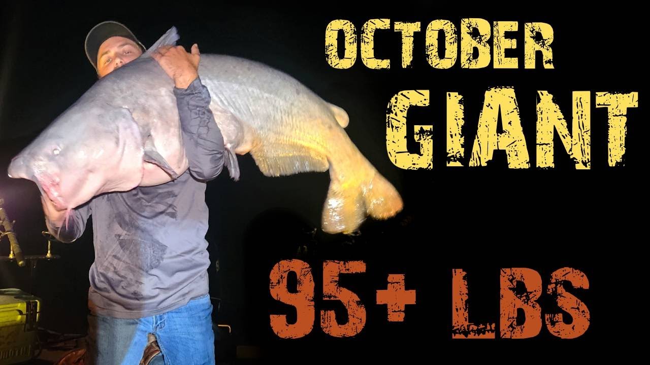 Massive  (95+ LB) October Blue Cat Hit the Deck | Biggest of the Year