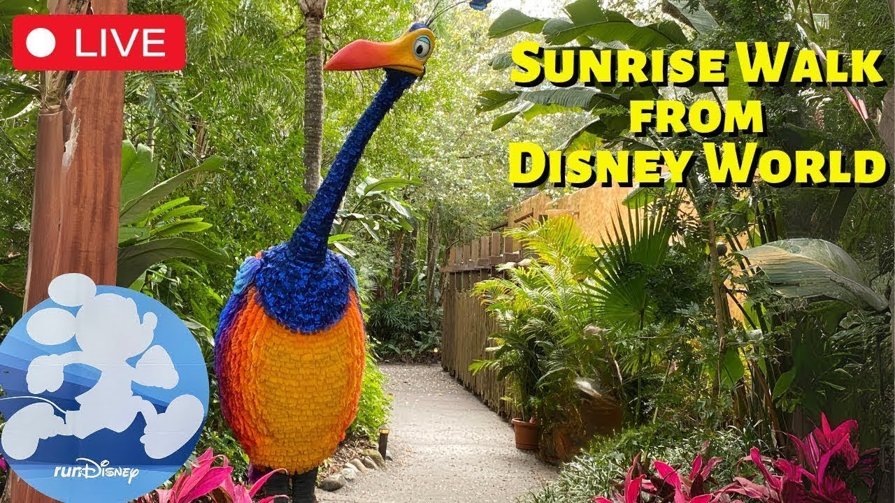 🔴LIVE🔴 45 Min Sunrise POV Walk at Disney World's Animal Kingdom