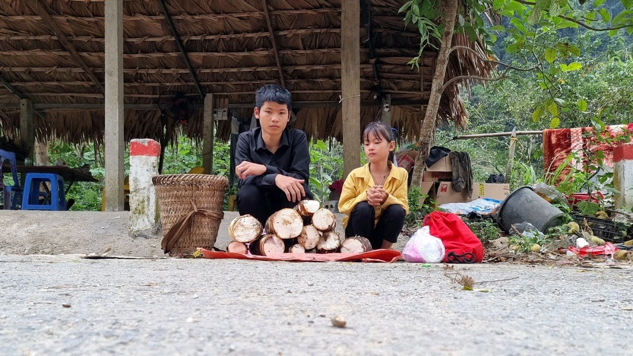 The poor boy and the poor girl dug wild potatoes to sell | Homeless Boy