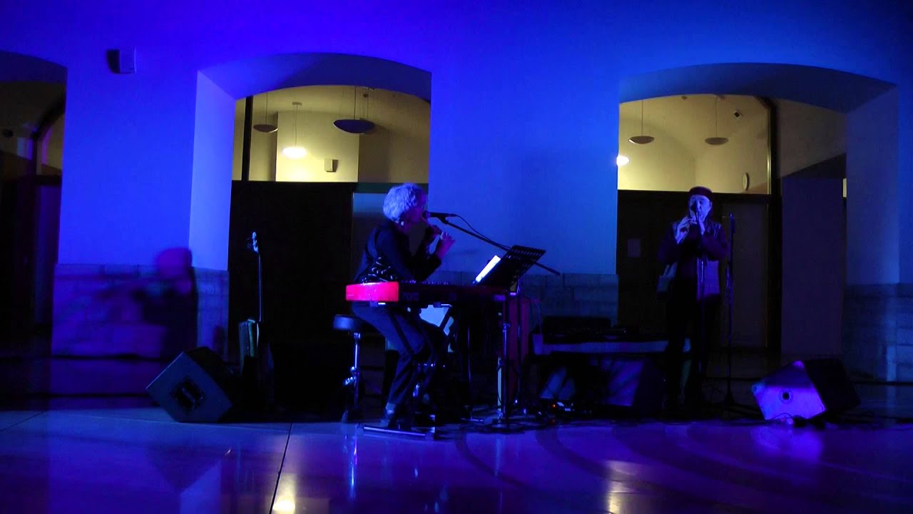Didier Malherbe and Loy Ehrlich. Hadouk Trio. Музыкальный Эрмитаж.