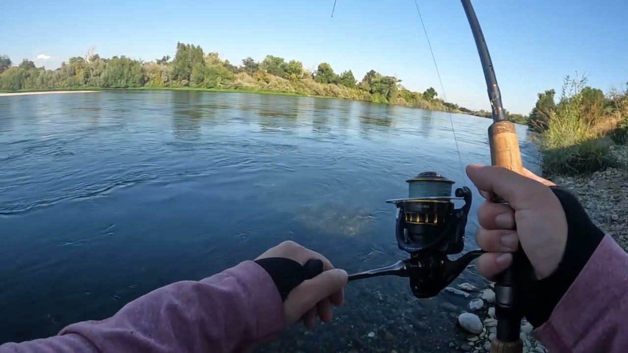 You Guys Said This Would Work For Salmon on The Feather River