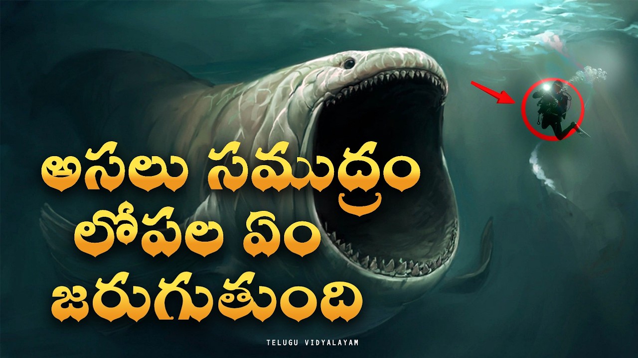 Mysterious world under Deep Ocean's | Mariana Trench | Telugu Vidyalayam