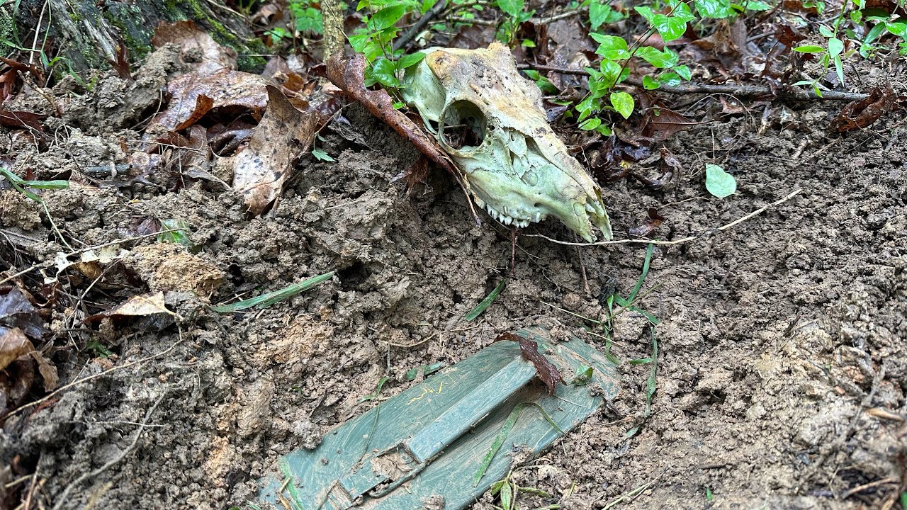 Survival Cache One Year Later