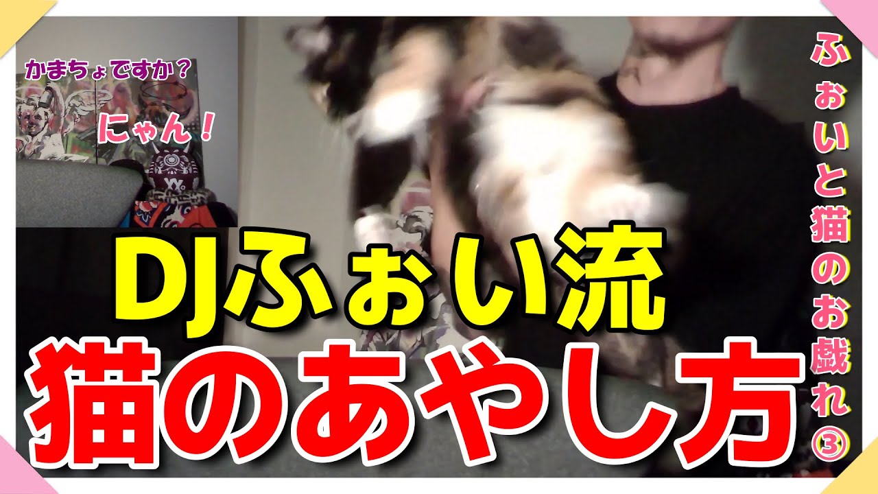 【DJふぉい】猫のかまい方はこれが一番。猫ぶんぶん【切り抜き】