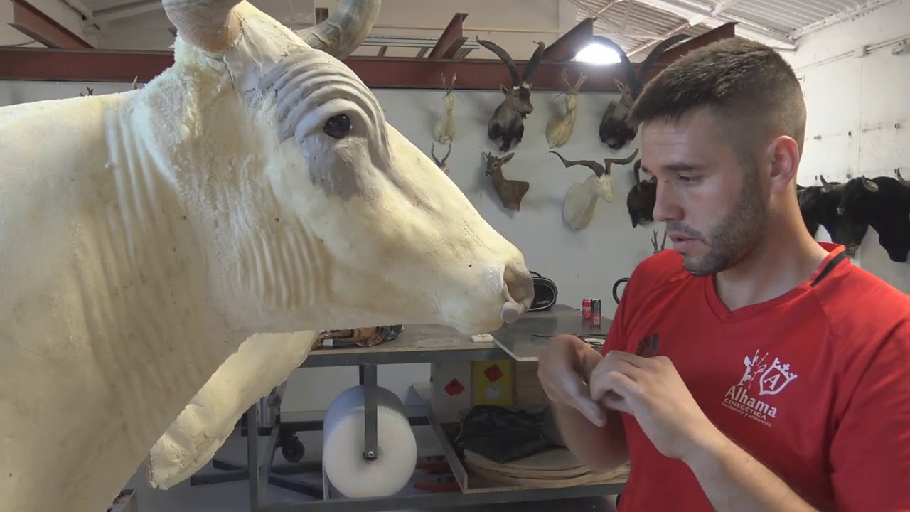 El Arte de Taxidermia Alhama